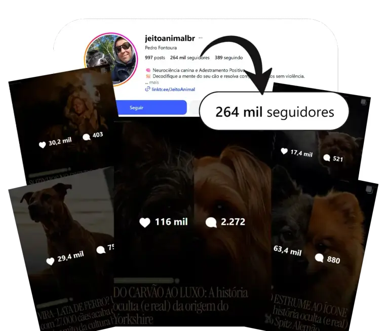 Jeito Animal viralizou com carrosséis
